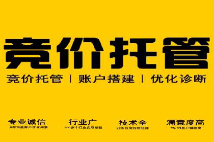 成功案例解析：SEM代运营机构助力企业增长